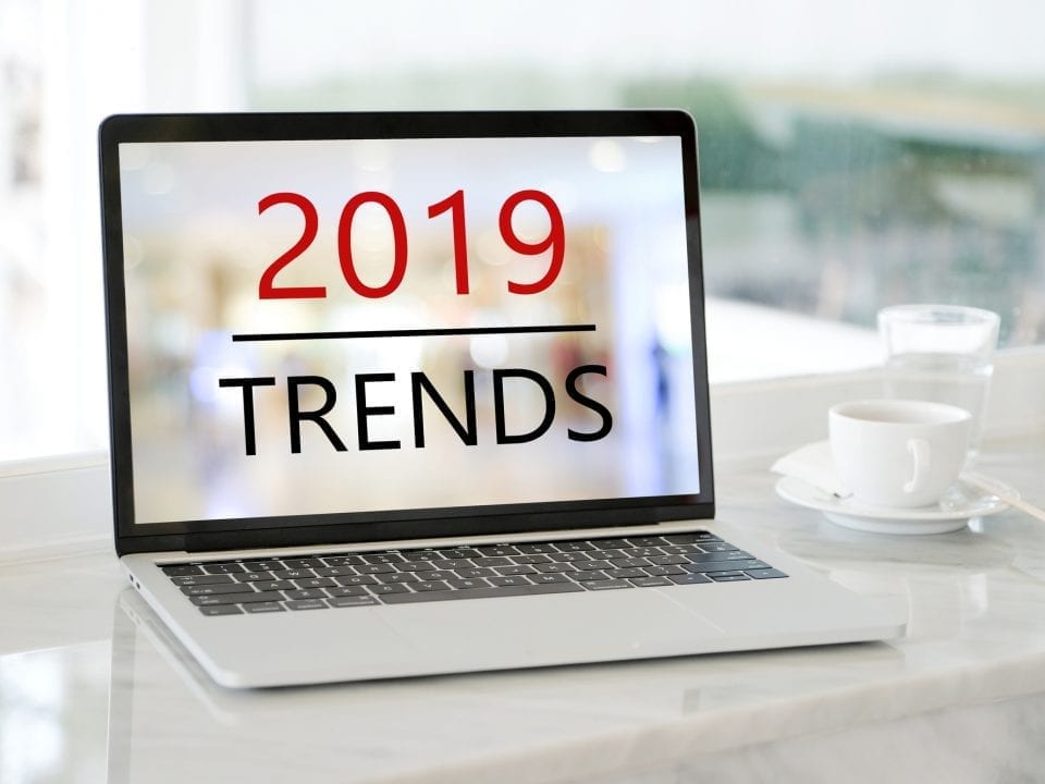 web design trends