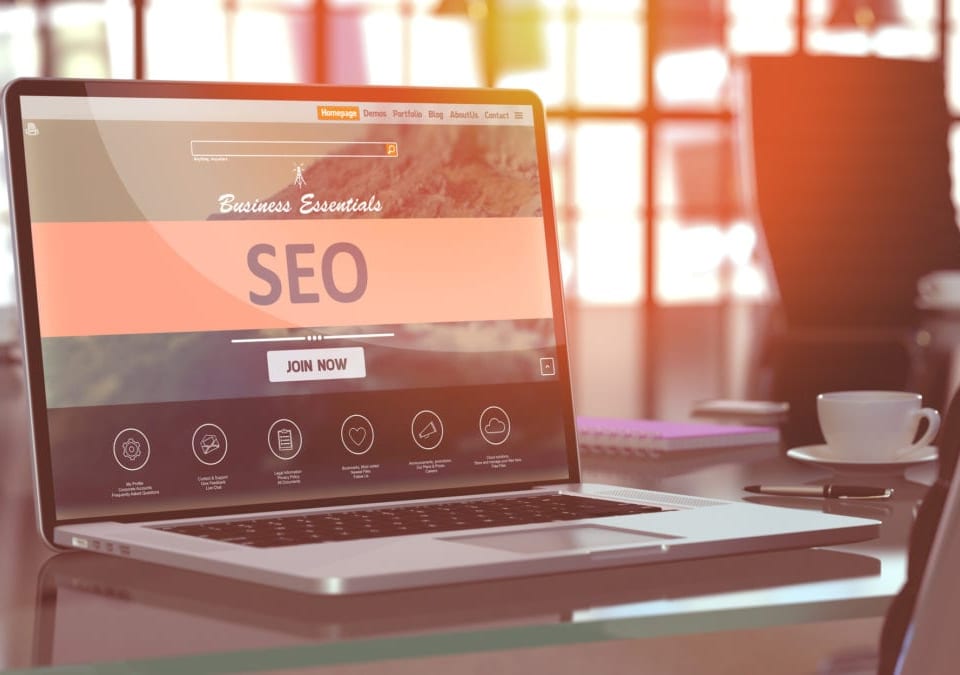seo specialist